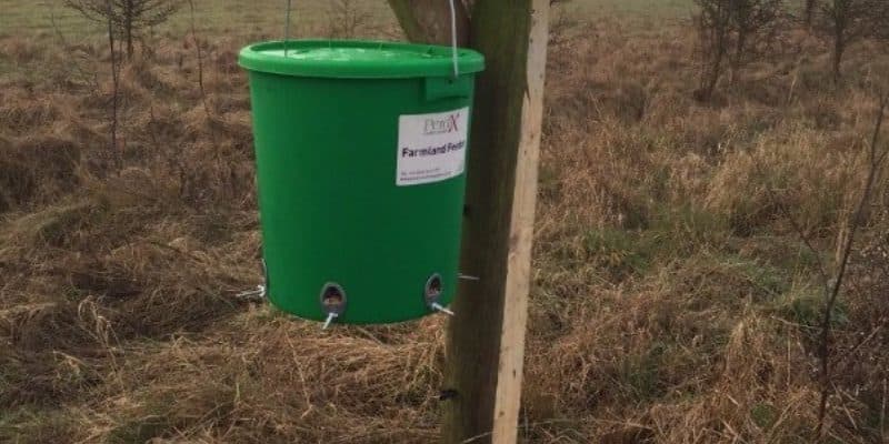 Bird feeder Elmley