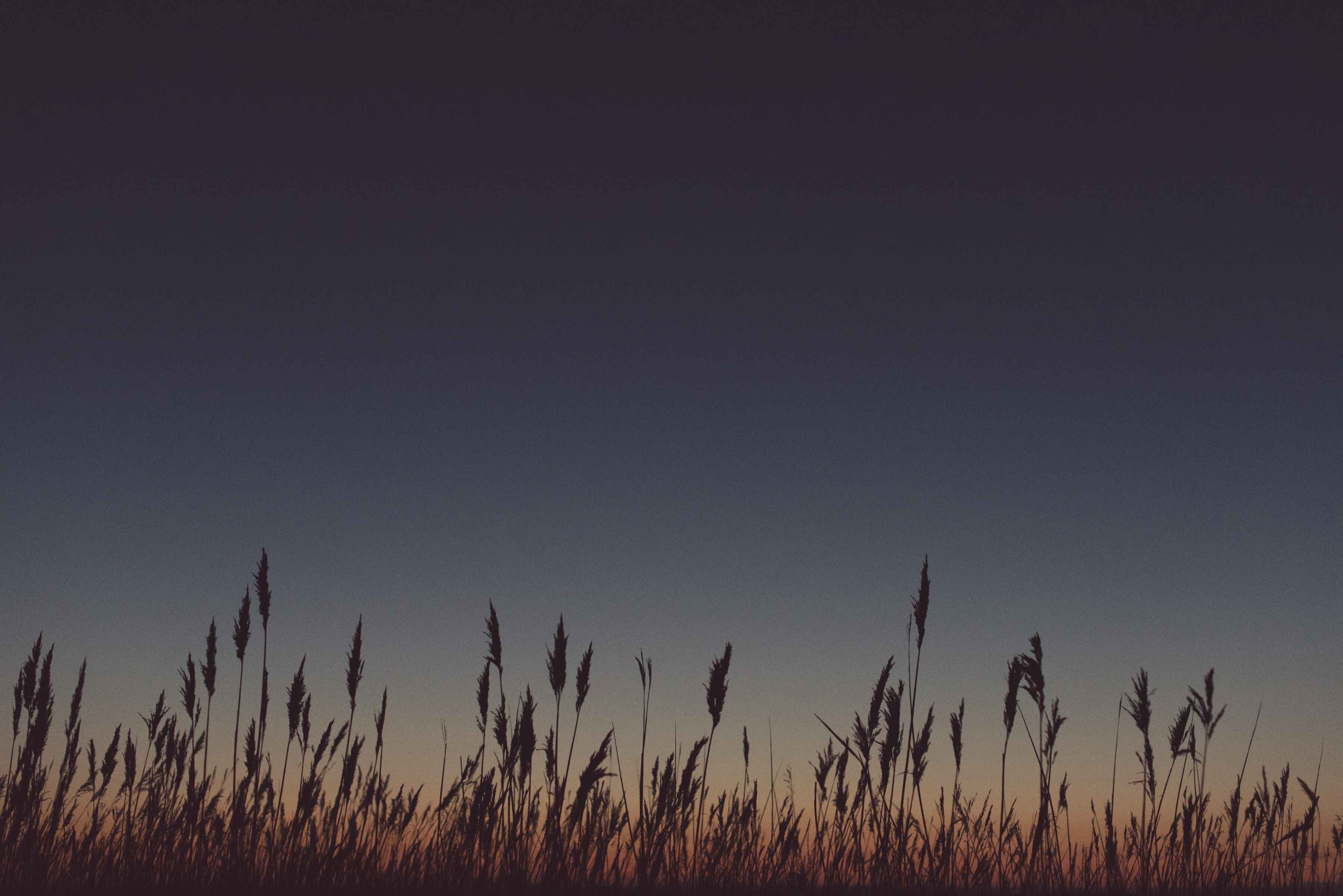 beautiful winter sunrises in nature