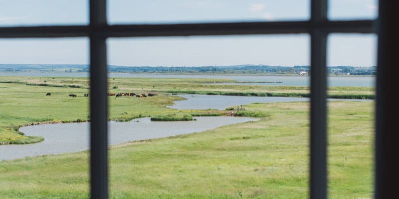 Pink Room With a View