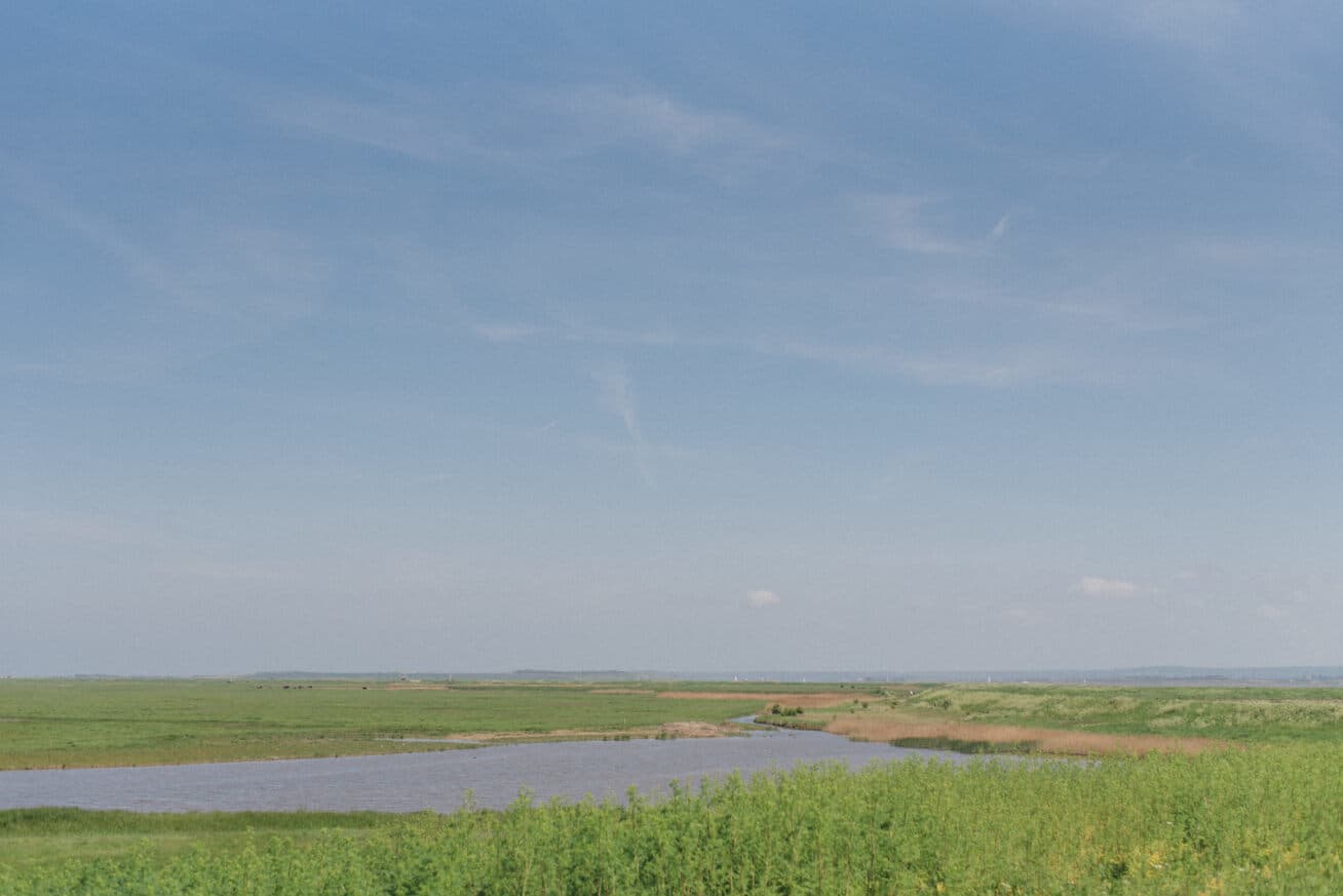 Spring landscape at Elmley Nature Reserve