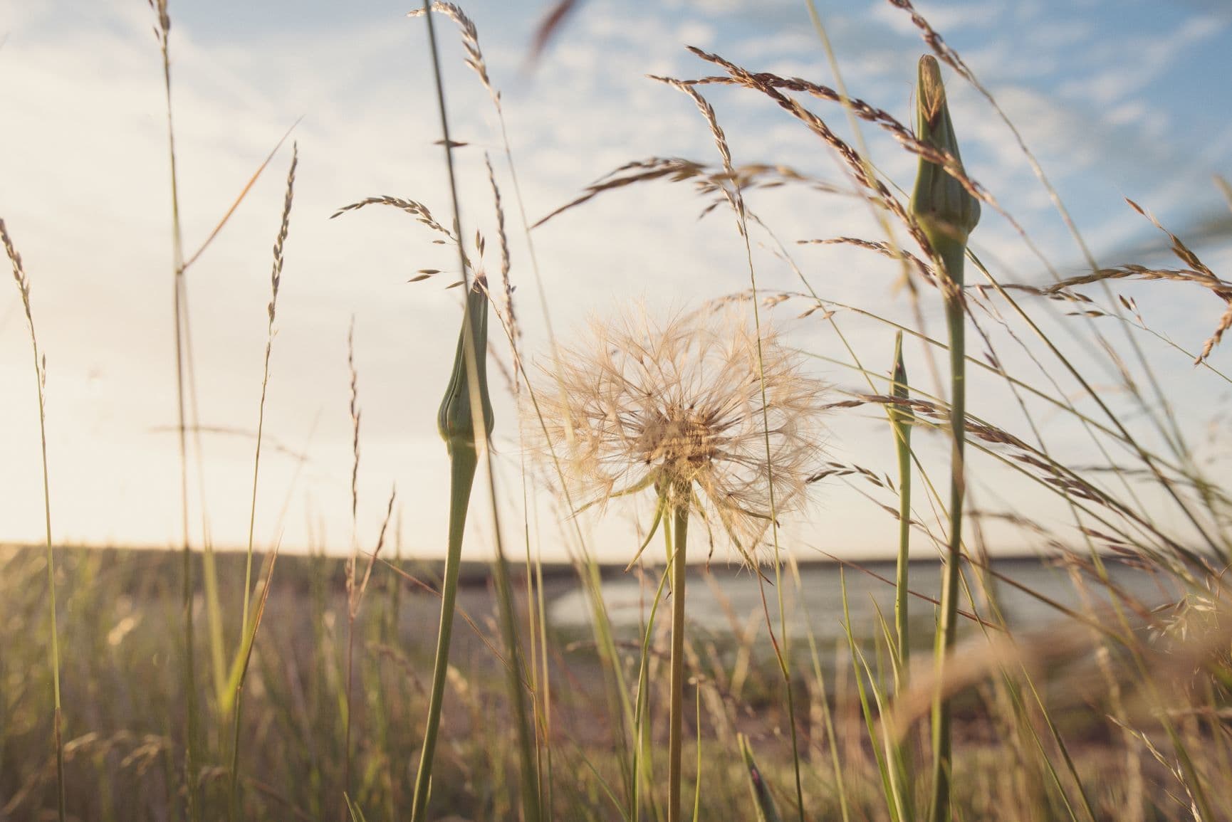 Unusual wedding venues Kent