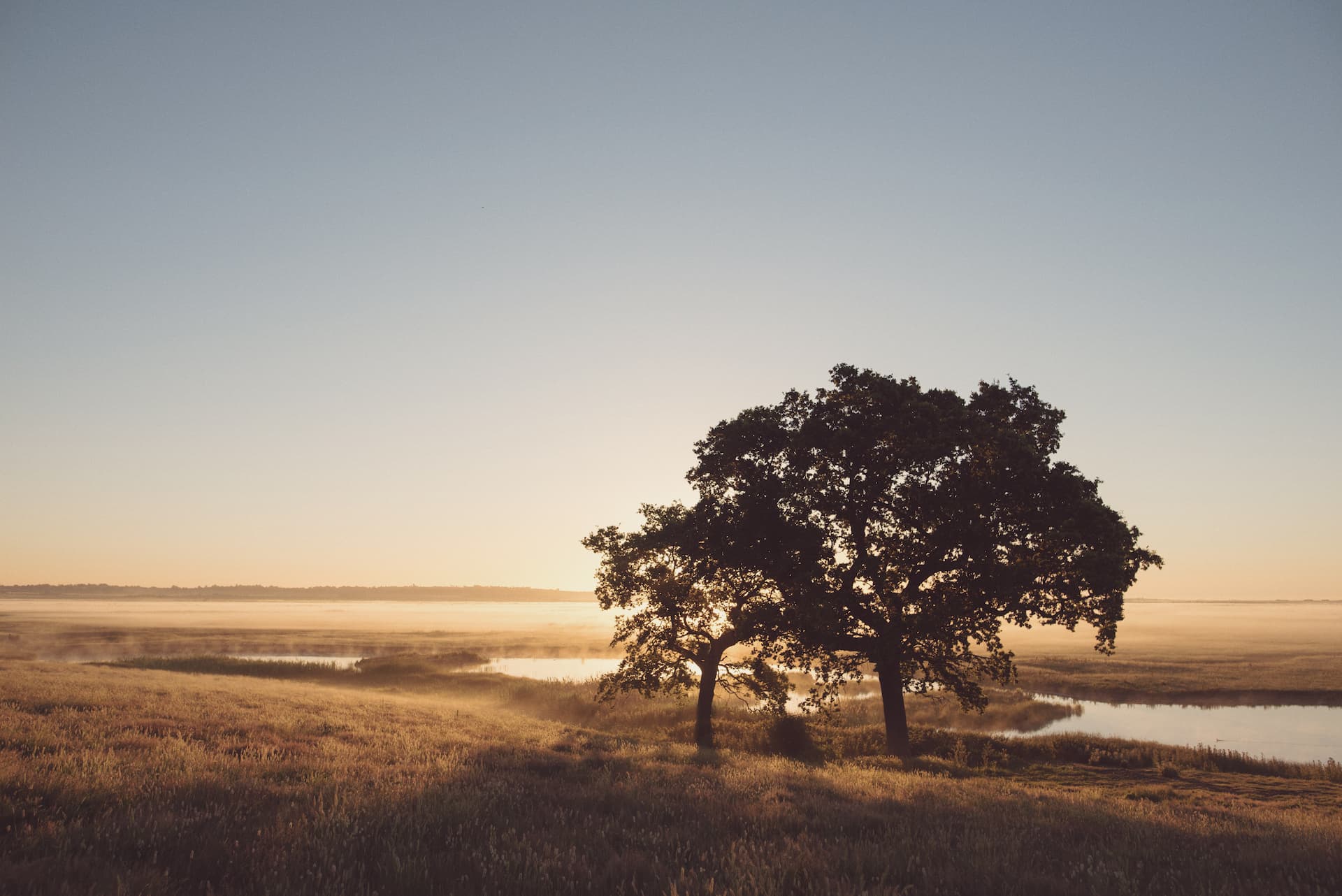 Sunrise on Elmley Nature Reserve