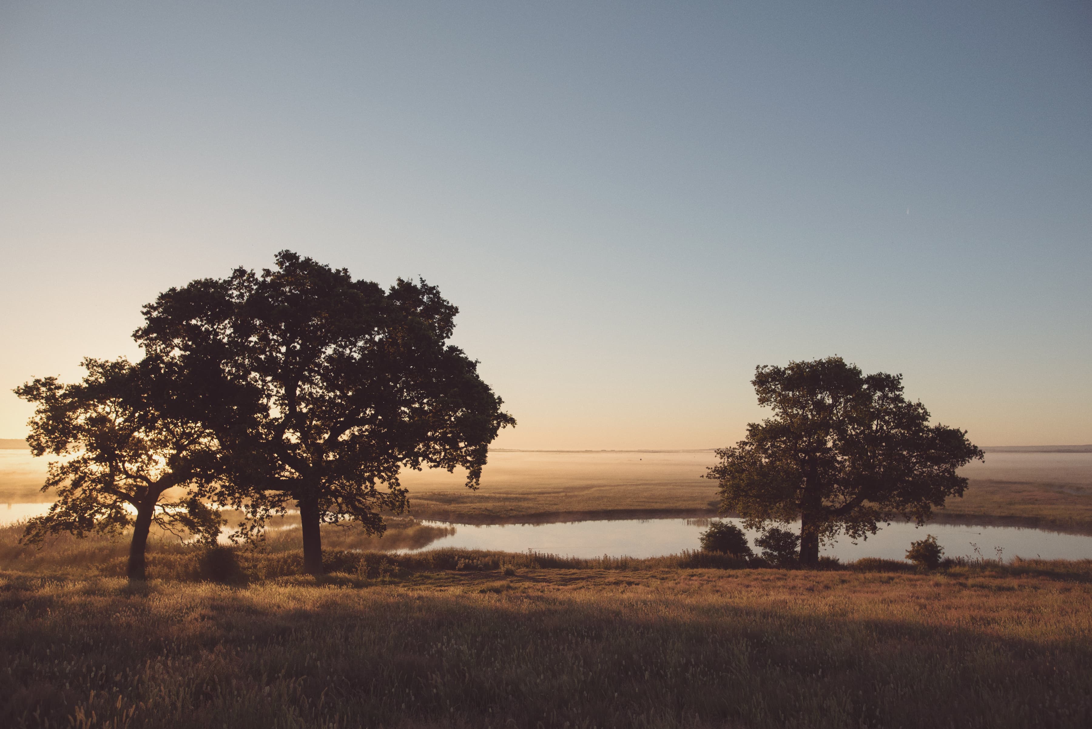 Dawn over Elmley Nature Reserve